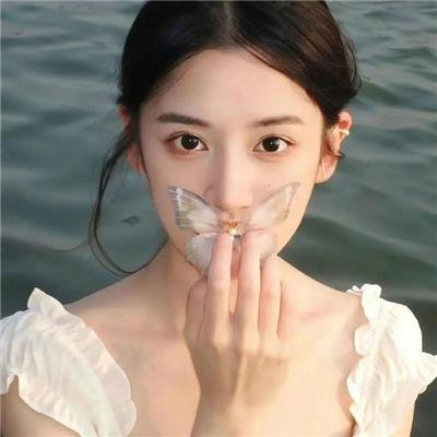 追凶记