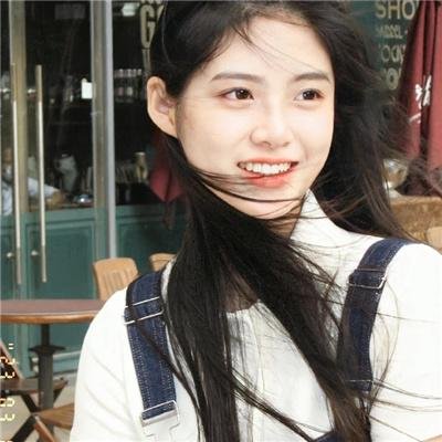 追鹰日记