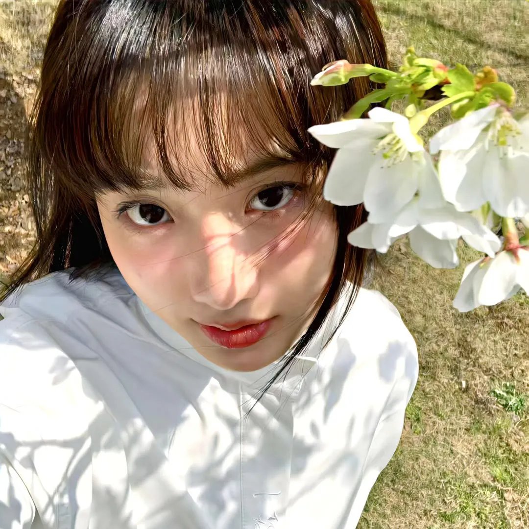 偷心女巫