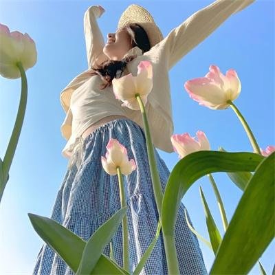 帝王蝶之子